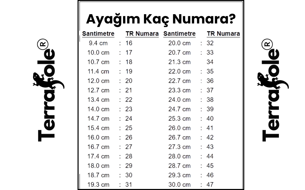 TerraPulse Bay-Bayan Ayakkabı