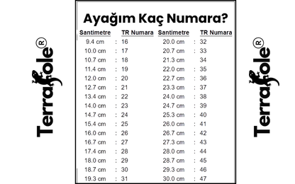TerraPulse Bay-Bayan Ayakkabı